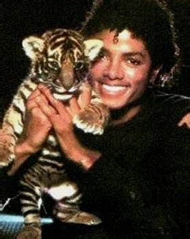 Michael Jackson with a baby tiger - Thrillergirl18 Photo (26731477) - Fanpop