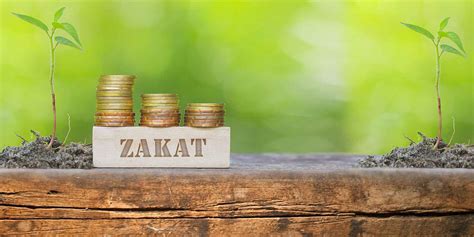 What is Zakat in Islam? | All Perfect Stories