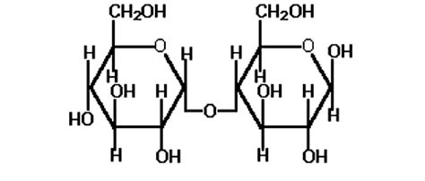 Maltose Structure Diagram