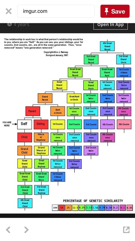 Family relationship chart | Family tree genealogy, Family tree relationships, Relationship chart