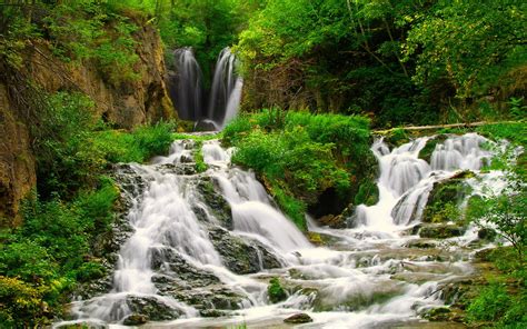 Small Forest River With Beautiful Waterfalls Coast Green Grass Bushes ...