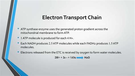 Redox reactions in cellular respiration.pptx