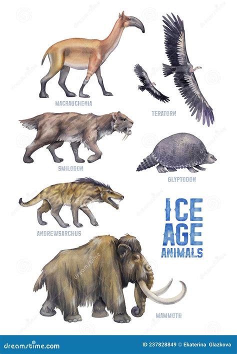 Collection of Watercolor Prehistoric Animals Isolated on a White Background Stock Illustration ...