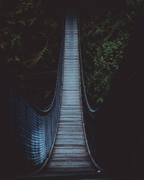 Lynn Valley Suspension Bridge : r/vancouver