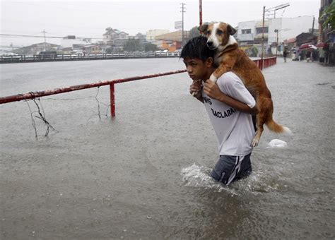 Boy Gives His Dog A Piggyback Ride Through Flood Waters.. And Makes Us Melt | Save animals ...