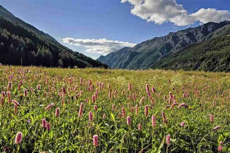 Valle d'Aosta: vallate più belle e dove dormire - Bimbe In Viaggio