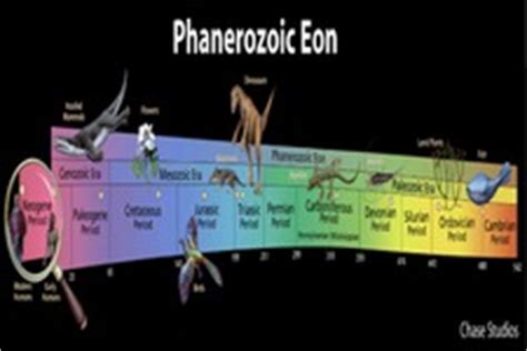 Life of the Phanerozoic Eon | CK-12 Foundation