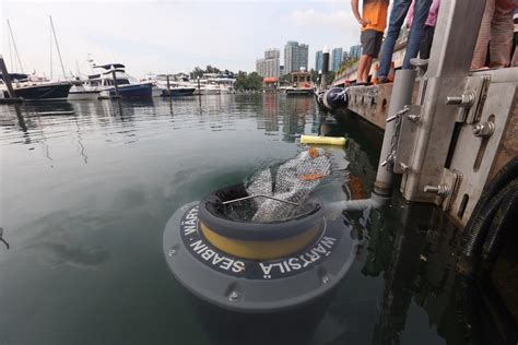 Hong Kong Yatch Club tackles marine litter with the help of Seabin Project - Scandasia