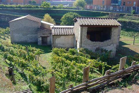 Roman Villa Rustica uncovered at Boscoreale near Naples It… | Flickr