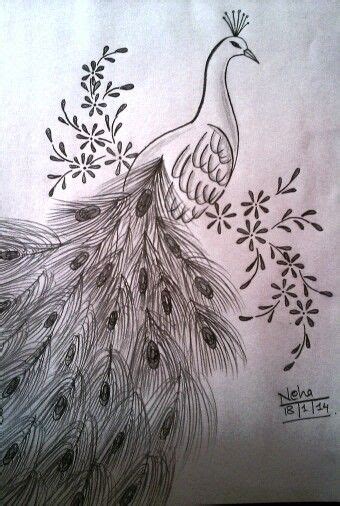 Peacock Drawing Pencil Shading - bestpencildrawing