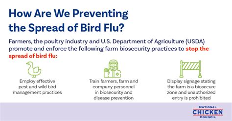 Bird Flu Prevention3 - Chicken Check In