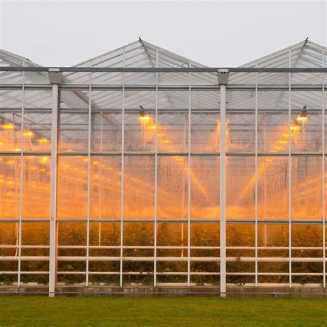 China Glass Greenhouse for Vegetables/Flowers/Farm/Garden - China ...