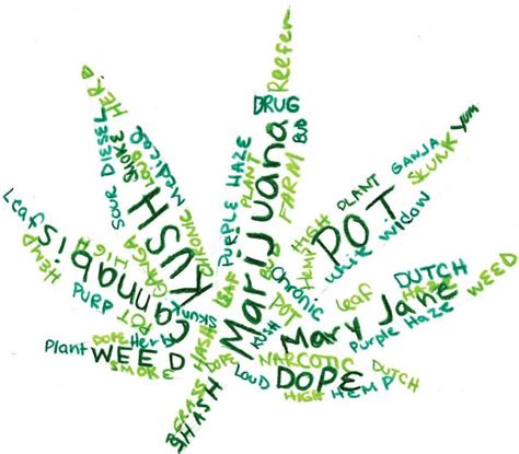 Varied marijuana slang terms - The Pitt News