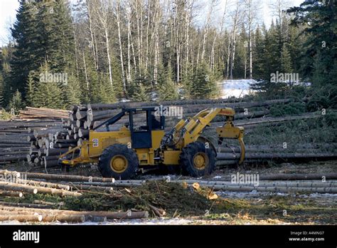 Logging industry Stock Photo - Alamy