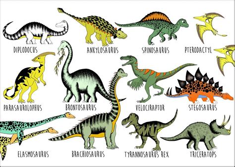 Poster - Dinosaur Name Chart | Dinosaur pictures, Dinosaur illustration, Dinosaurs names and ...