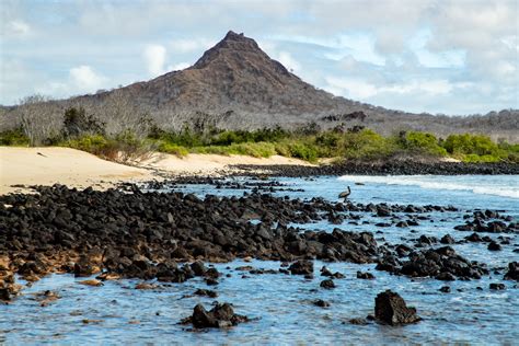 Insider’s Guide to Santa Cruz, Galapagos | Celebrity Cruises