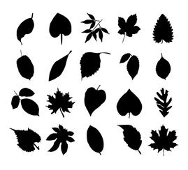 20 Various Silhouette Leaf Vector Collection Free Vector Download ...