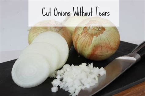 5 Ways to Cut Onions Without Crying - BargainBriana