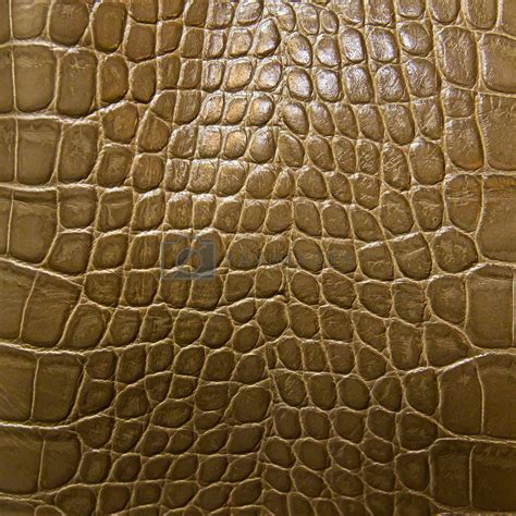 crocodile skin texture by tungphoto Vectors & Illustrations Free ...