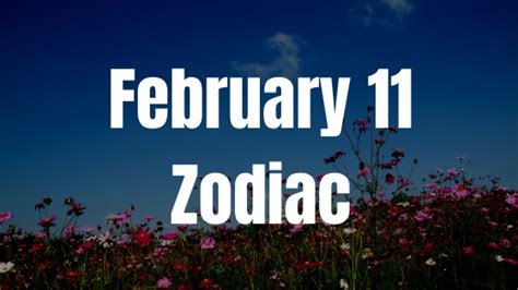 February 11 Zodiac Sign Personality, Compatibility, Traits and More