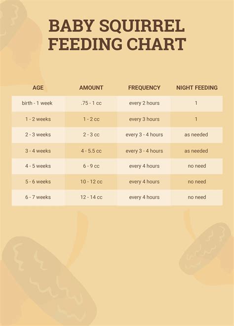 Baby Squirrel Feeding Chart | Hot Sex Picture