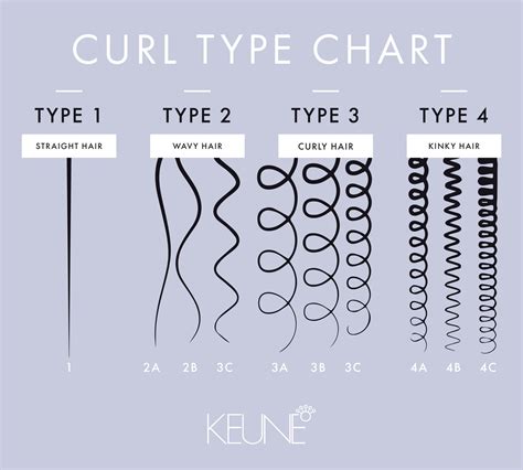 Curl Patterns 101 – What’s Your Curl Type? - Keune EducationKeune Education