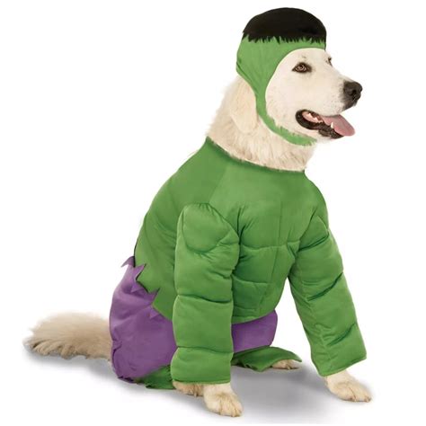 20+ Cute Halloween Costumes for Extra Large Dogs (up to 3XL!) - Hey, Djangles.