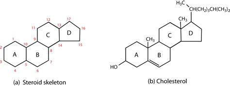 Steroid Chemistry