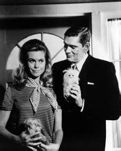 Bewitched Posters and Photos 265895 | Movie Store