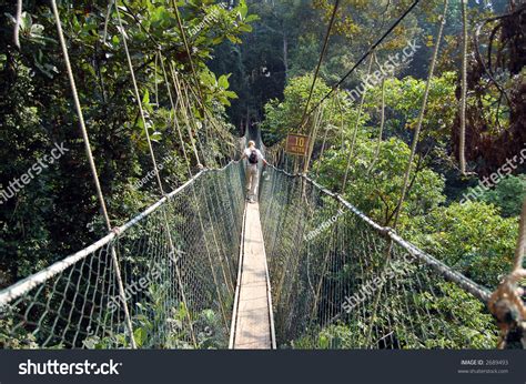 Canopy Walkway Taman Negara National Park Stock Photo 2689493 ...