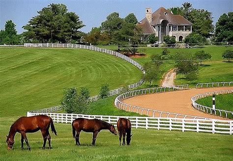 Lexington Kentucky - Donamire Farm | Kentucky horse farms, Horse farms ...