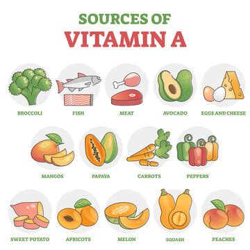 Vitamins Chart For Kids