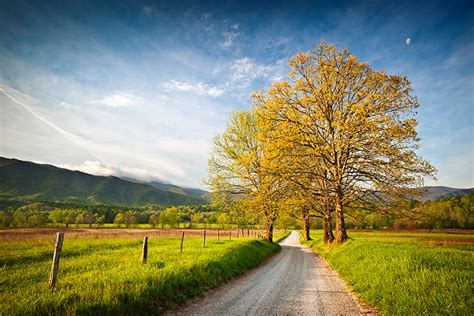 Cade's Cove Hyatt Lane Spring - Great Smoky Mountains National Park Photography