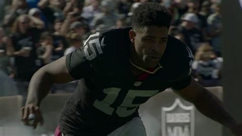 Michael Crabtree Highlights