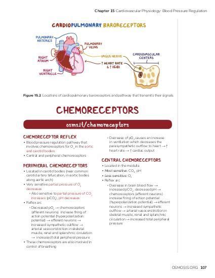 Chemoreceptors | Osmosis