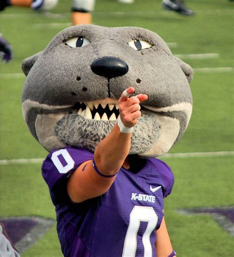 Pin by UniSunn 144 College Football B on Kansas State University ...