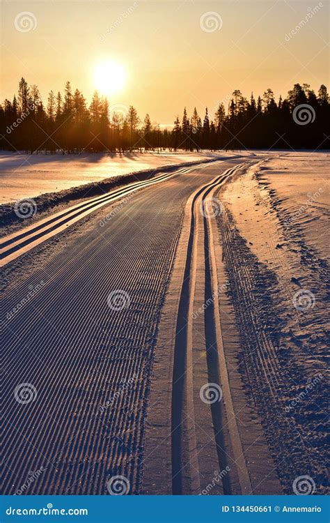 Cross Country Skiing in Finland Stock Image - Image of season, scenery ...