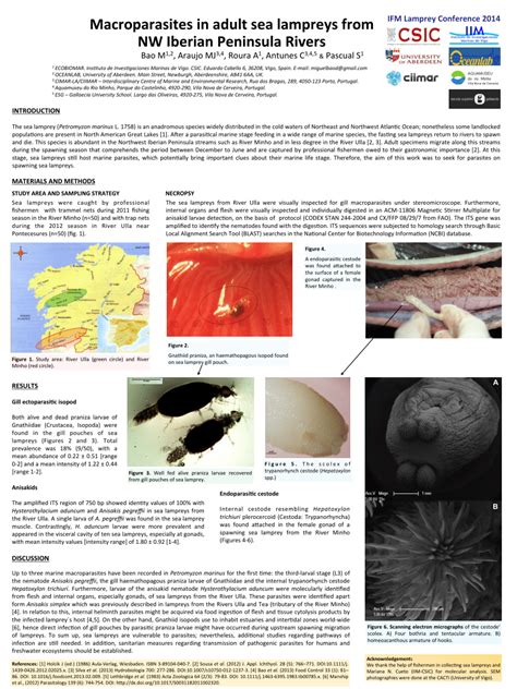 (PDF) Macroparasites in adult sea lampreys from NW Iberian Peninsula Rivers