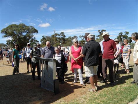 Wedderburn Conservation Management Network News: The Victorian Malleefowl Recovery Group annual ...