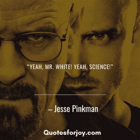 27 Remarkable Breaking bad quotes | With Images