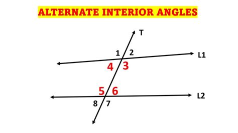 Alternate Interior Angles: Examples, Definition, Theorem » Education Tips