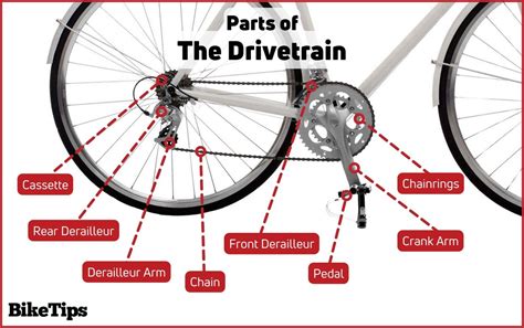 All Parts Of A Bicycle Explained: Comprehensive Guide To Your Bike