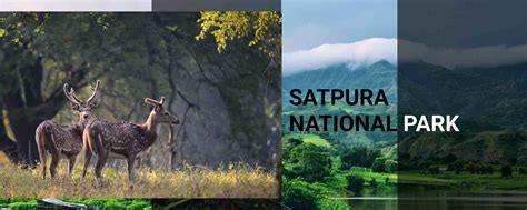 Satpura National Park