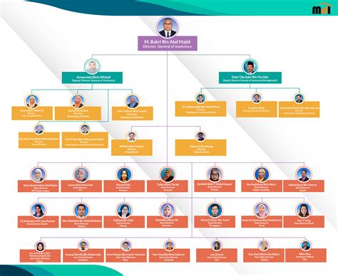 Organization Chart