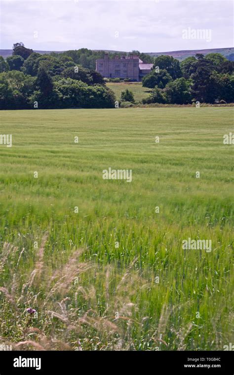 Scenic view looking toward Court House at East Quantoxhead on the ...