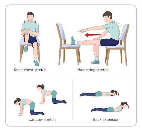 10 Degenerative Disc Disease Exercises You Can Try