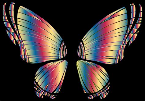 Butterfly,Symmetry,Pollinator PNG Clipart - Royalty Free SVG / PNG