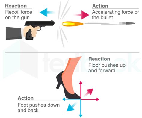 [Solved] Action and reaction