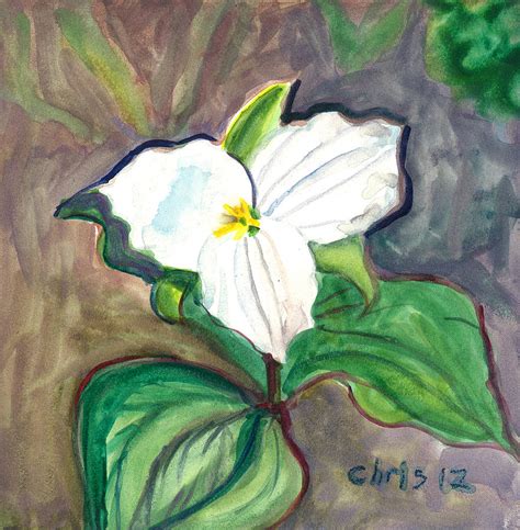 White Trillium Painting by Christina Plichta | Fine Art America