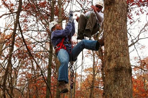 How Tree Climbing Works | MapQuest Travel